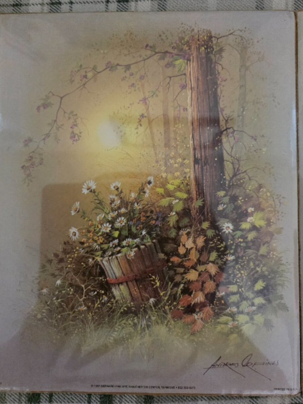 "Vintage Outdoors Prints" - Picture 3 of 7
